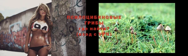 марки nbome Богданович