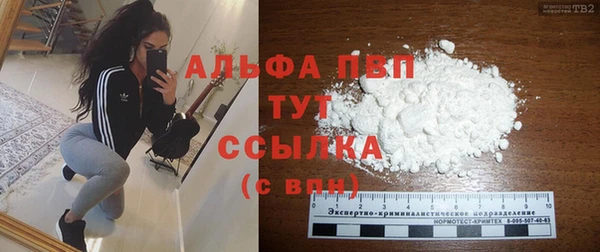 сатива Баксан