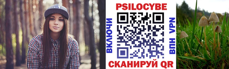 площадка какой сайт  Гудермес  Галлюциногенные грибы GOLDEN TEACHER 