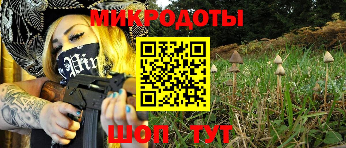 Псилоцибиновые грибы Psilocybe  Вход с VPN  цены наркотик  Гудермес 